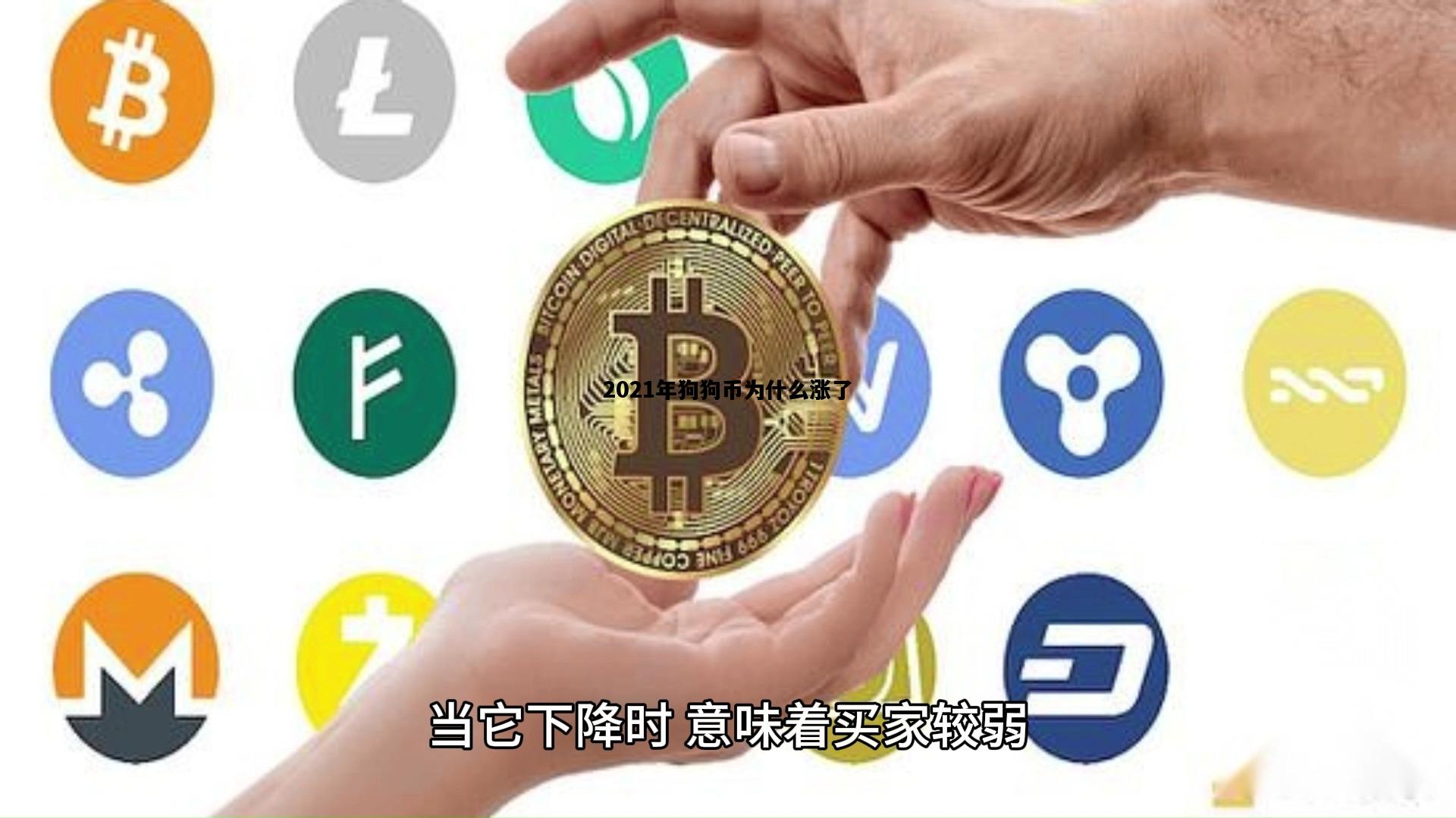 2021年狗狗币为什么涨了，2021年狗狗币为什么涨了那么多