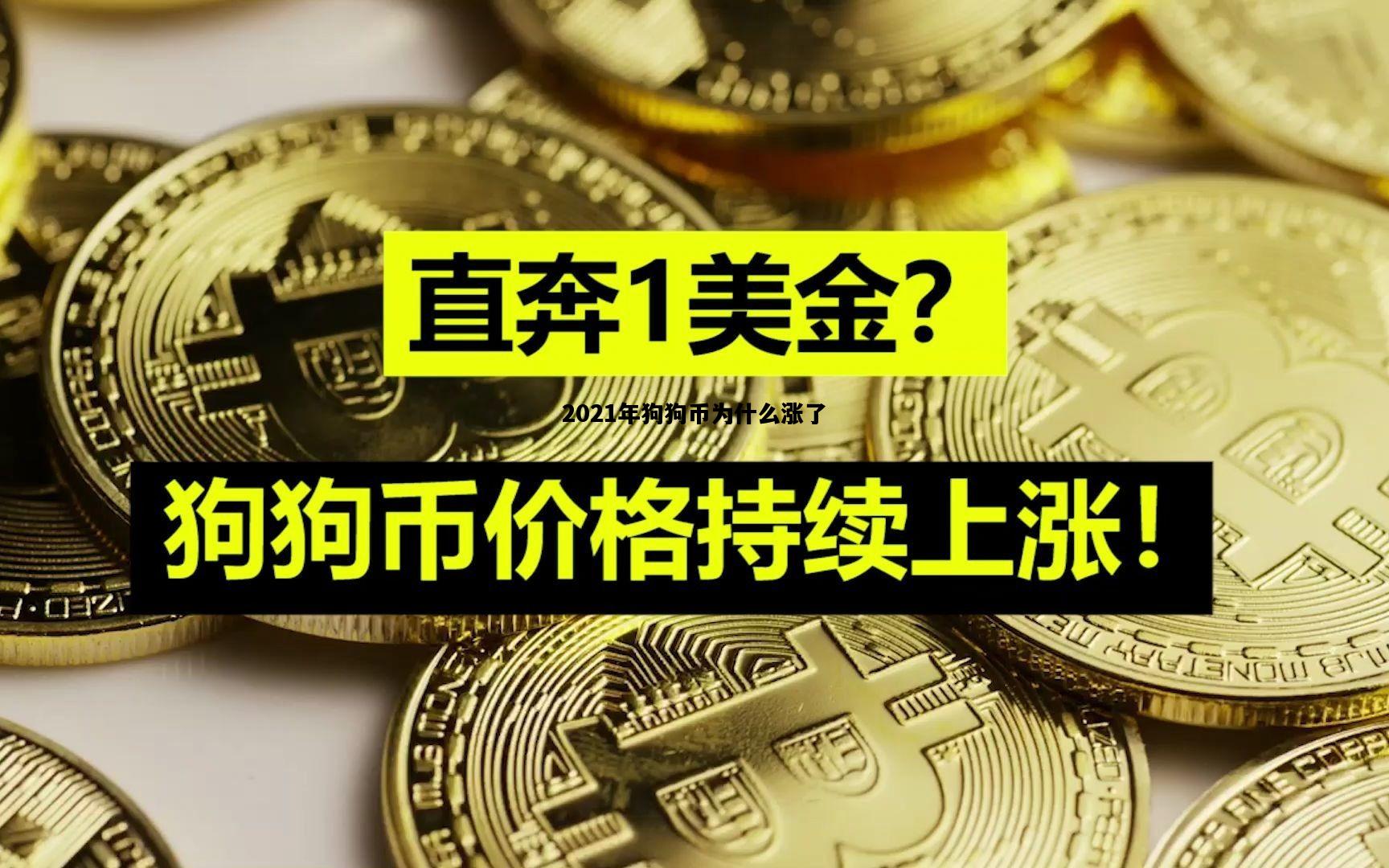 2021年狗狗币为什么涨了，2021年狗狗币为什么涨了那么多