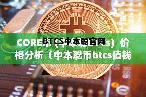 BTCS中本聪官网，中本聪btcs有人介绍一下吗