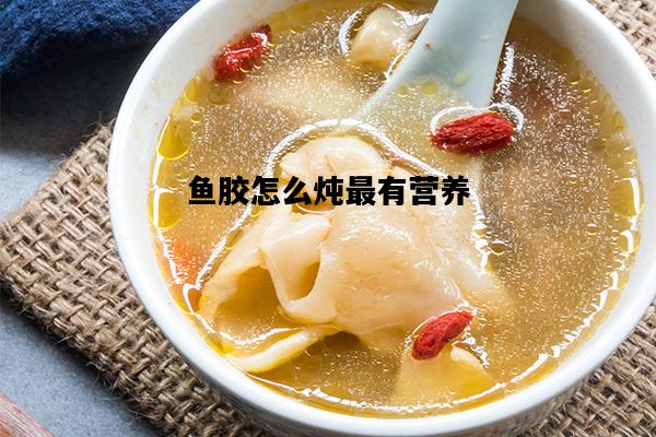 鱼胶怎么炖最有营养，孕妇鱼胶怎么炖最有营养