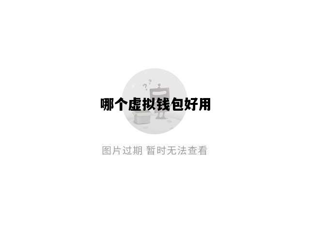 哪个虚拟钱包好用，哪个虚拟币钱包比较安全