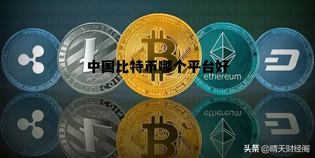 中国比特币哪个平台好，中国比特币哪个平台好用