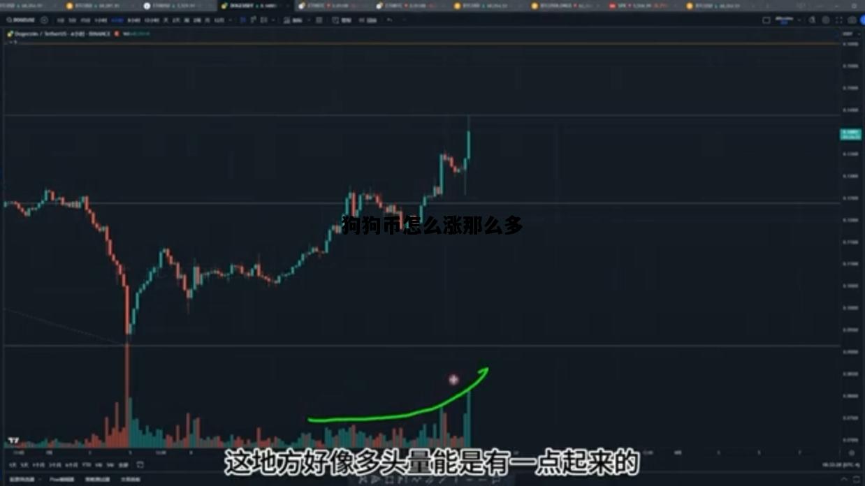 狗狗币怎么涨那么多，狗狗币为什么涨得这么快