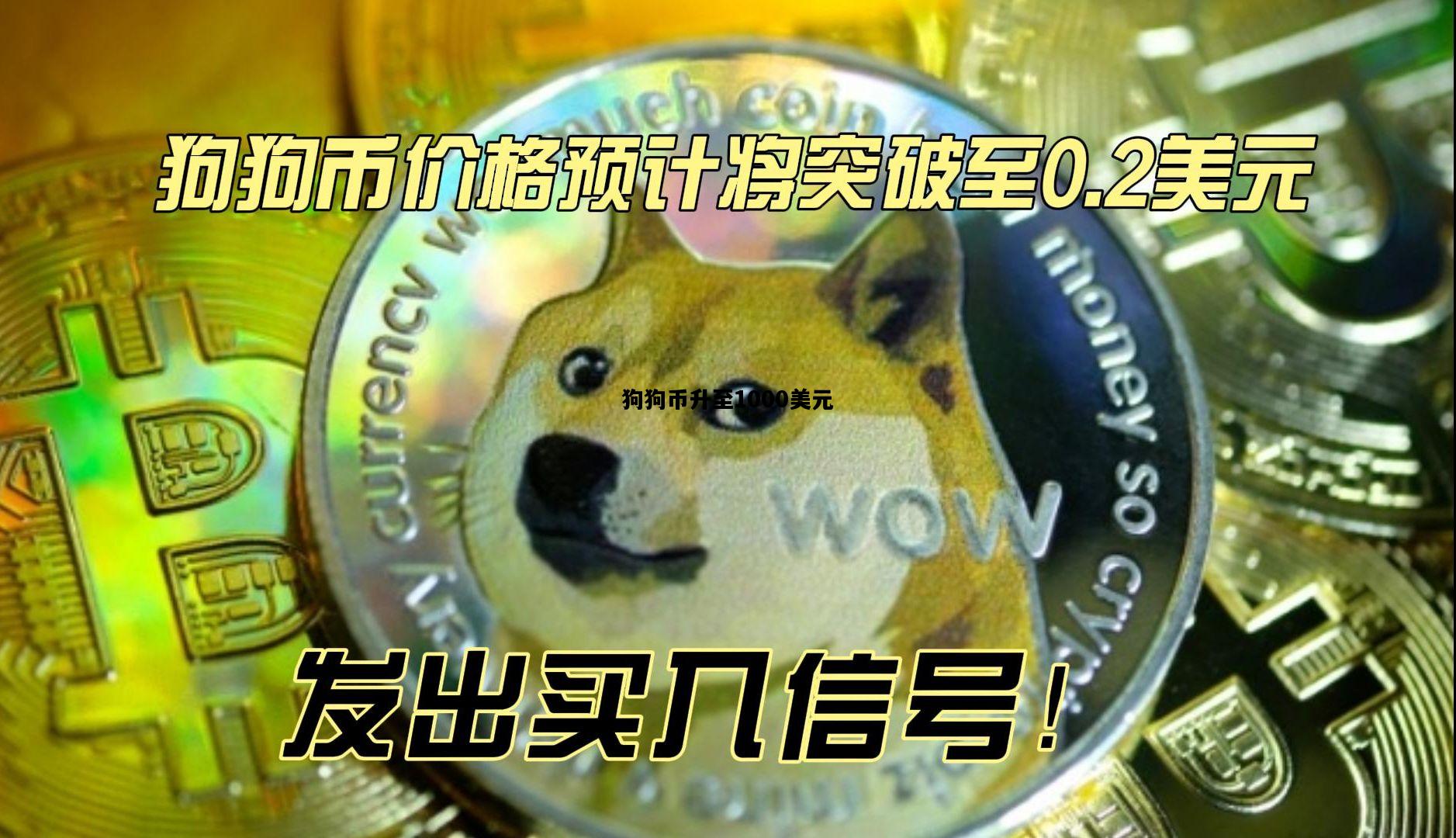 狗狗币升至1000美元，狗狗币升至1000美元要多久