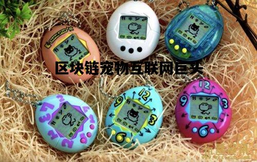 区块链宠物互联网巨头，区块链宠物app开发