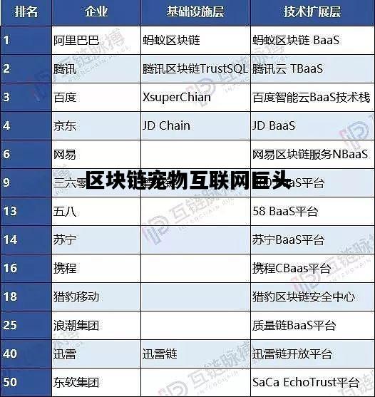 区块链宠物互联网巨头，区块链宠物app开发