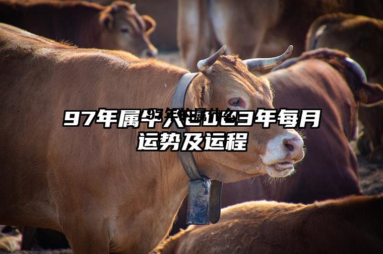 97年的属什么，97年的属什么牛