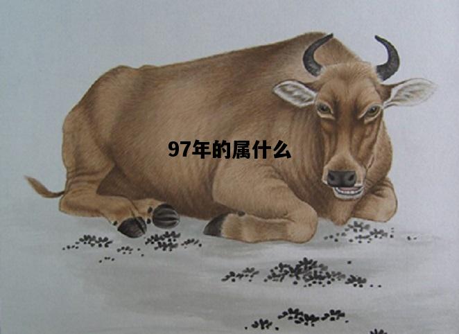 97年的属什么，97年的属什么牛