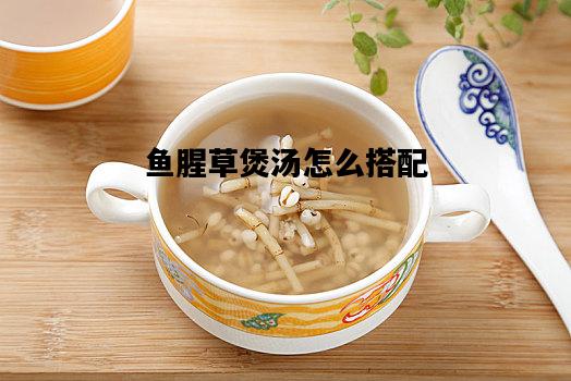 鱼腥草煲汤怎么搭配，鱼腥草煲汤怎么搭配治喉咙痛呢