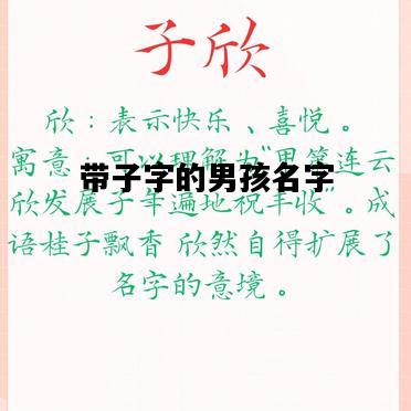 带子字的男孩名字，带子字的男孩名字属猪