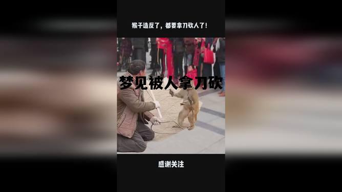 梦见被人拿刀砍，梦见别人拿刀刺向我