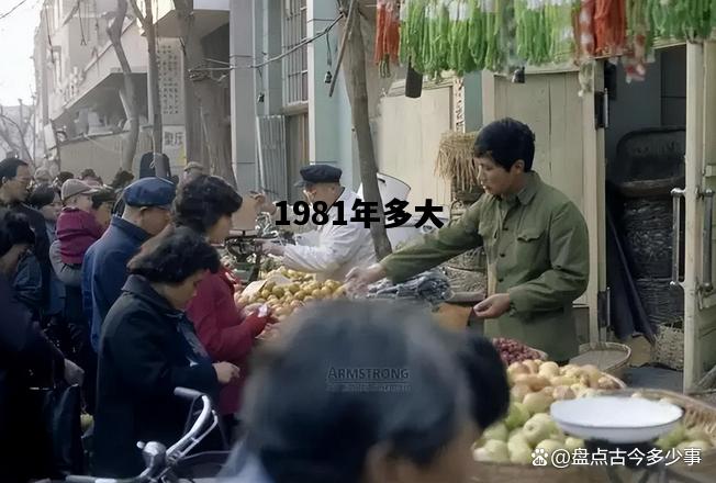 1981年多大，1981年多大了2024