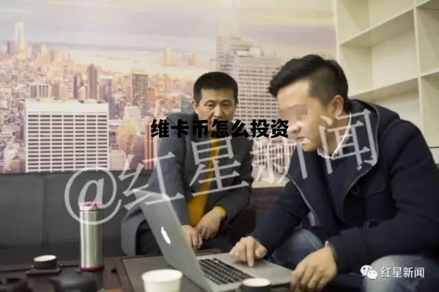 维卡币怎么投资，维卡币现在多少钱一枚了
