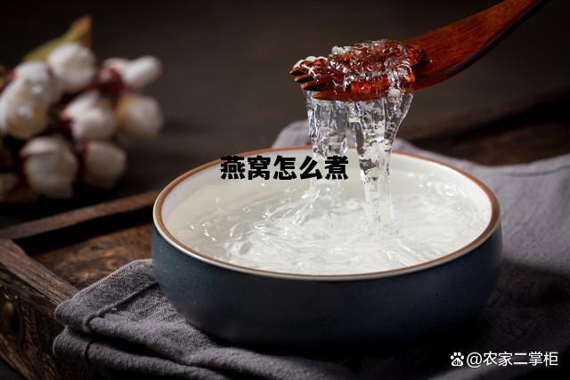燕窝怎么煮，燕窝怎么煮法视频教程