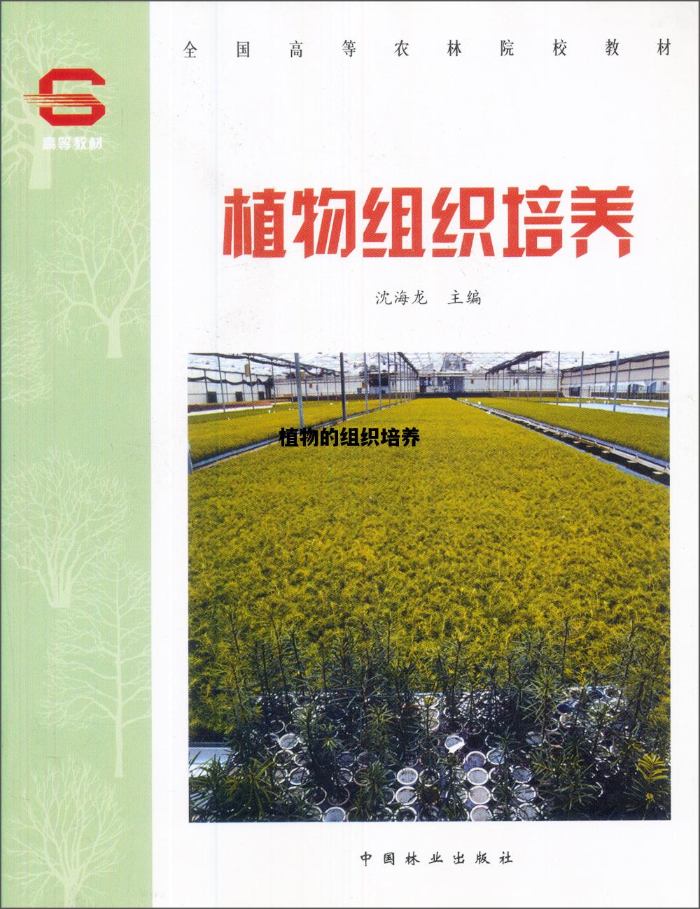 植物的组织培养，植物的组织培养脱离了植物体的