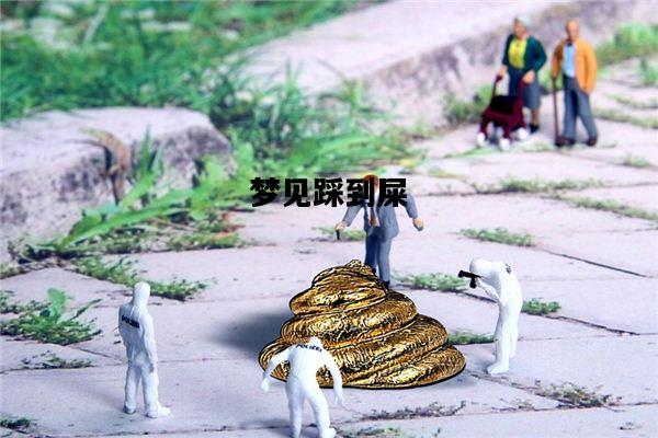 梦见踩到屎，梦见踩到屎意味着什么