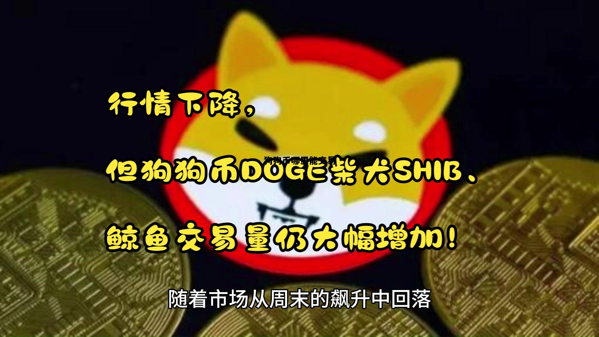 狗狗币哪里能交易，狗狗币在哪个交易所可以买到