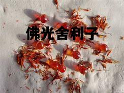 佛光舍利子，佛光舍利子和九转还魂丹