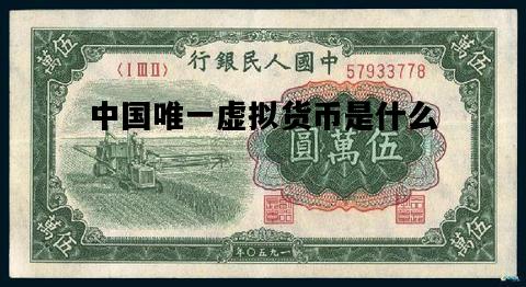 中国唯一虚拟货币是什么，中国唯一承认的虚拟币有什么
