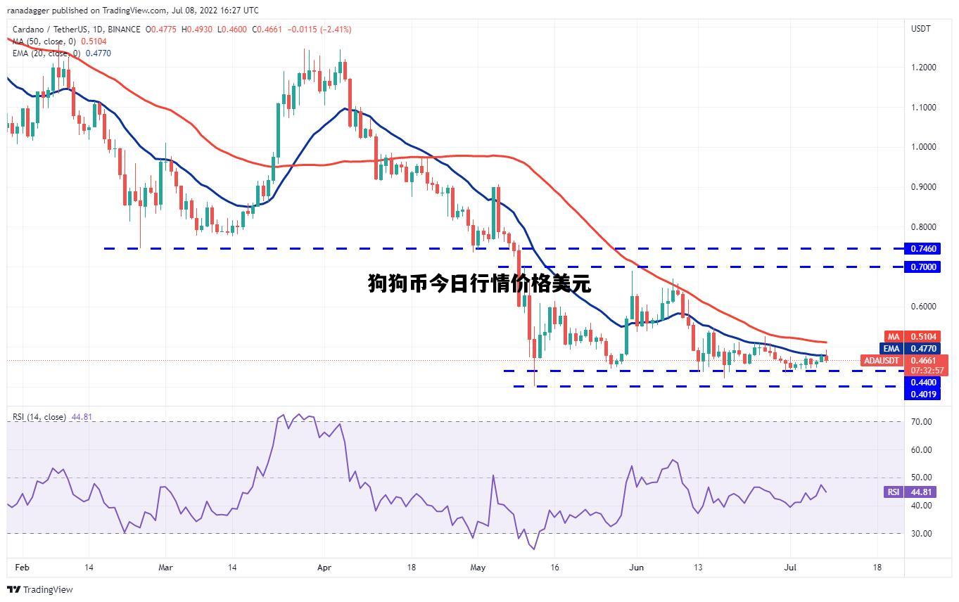狗狗币今日行情价格美元，狗狗币最新价格美元新浪财经