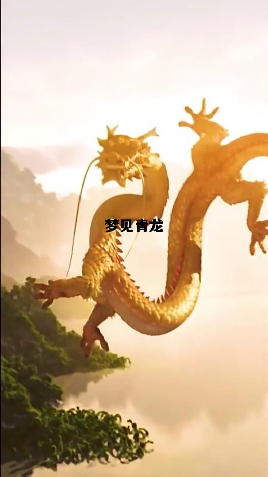 梦见青龙，梦见青龙白虎朱雀玄武什么意思