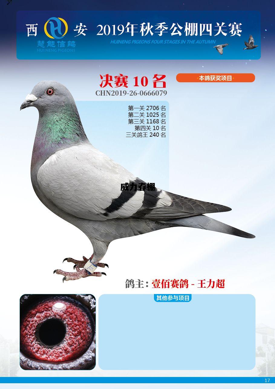 威力春棚，威力公棚最新信息