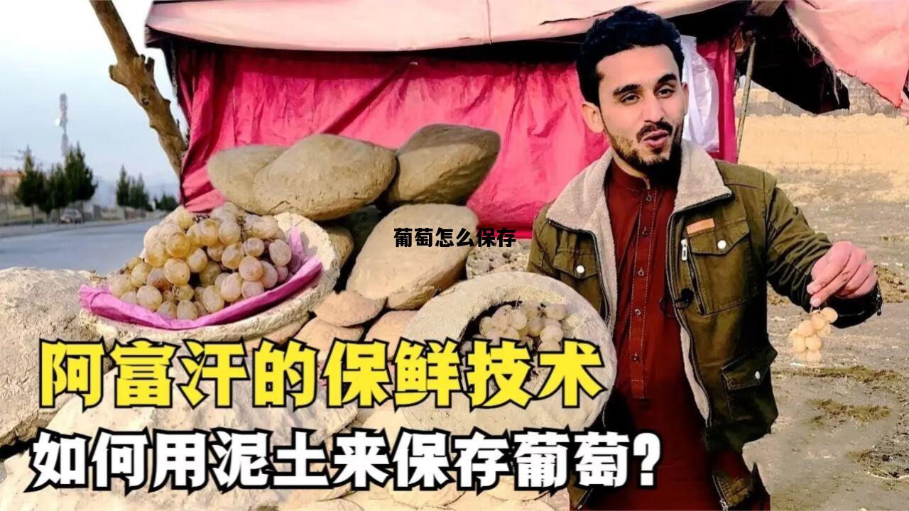 葡萄怎么保存，葡萄怎么保存可以放得更久