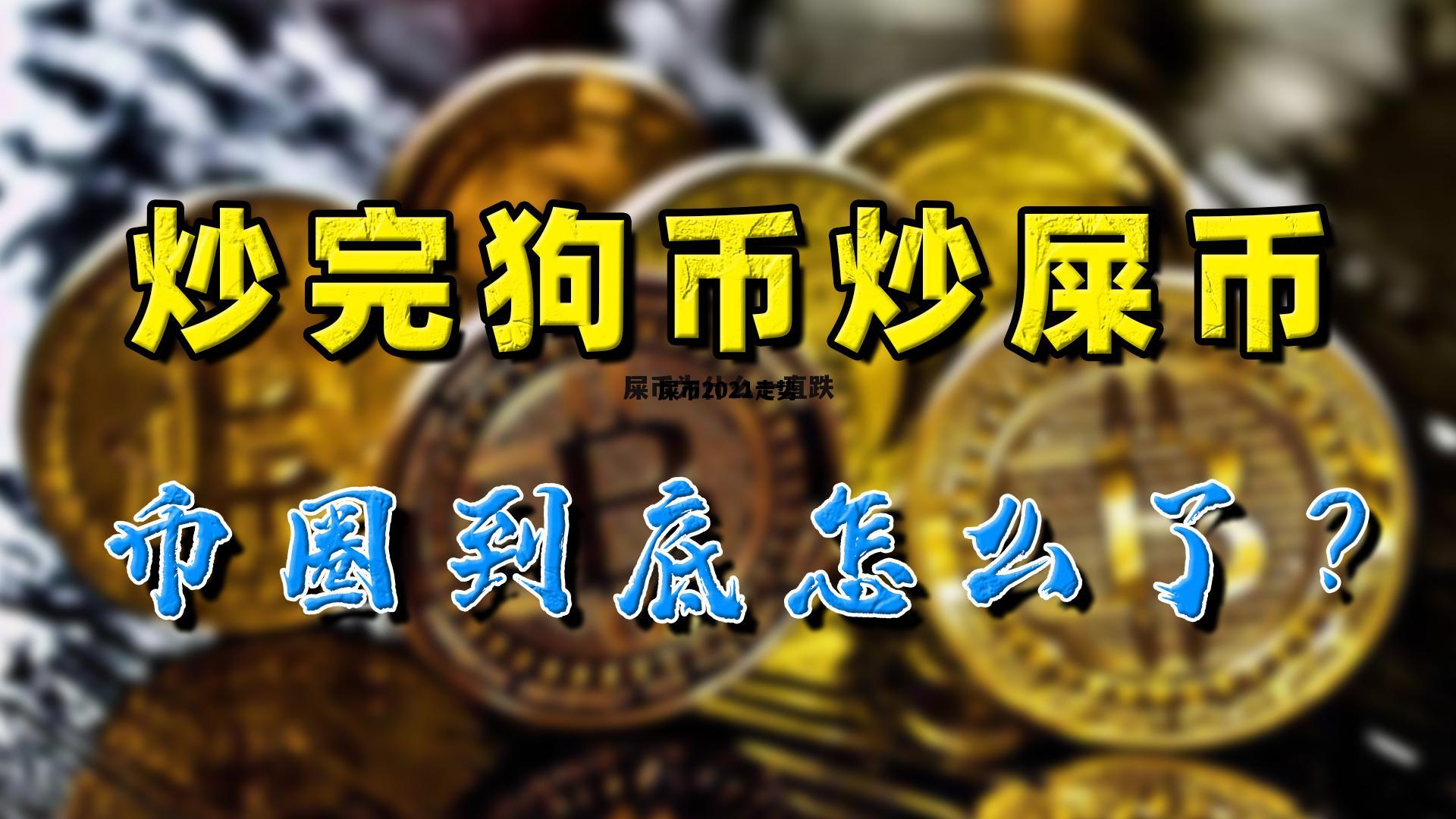 屎币2021走势，屎币2021年行情