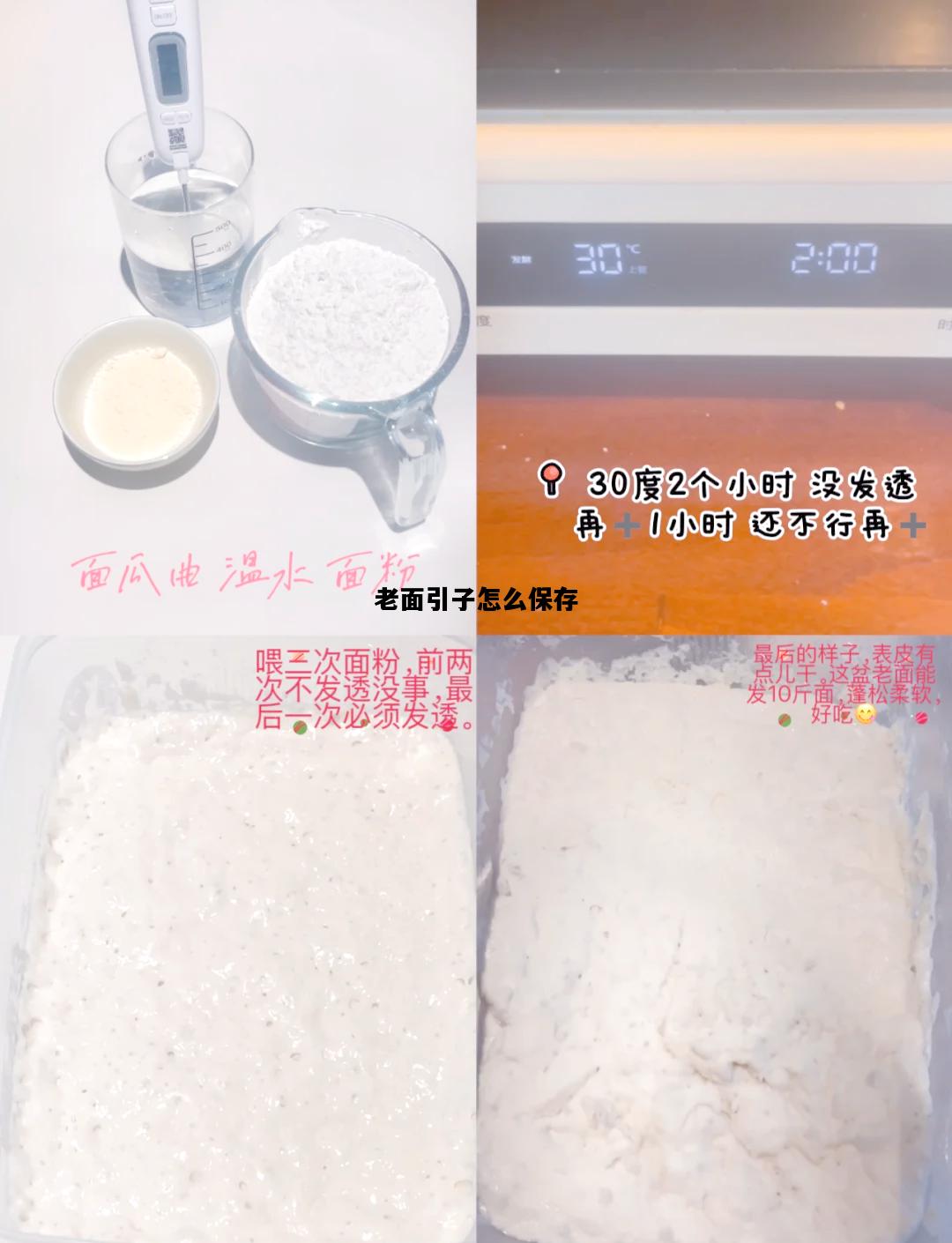 老面引子怎么保存，老面引子怎么保存需要透气吗
