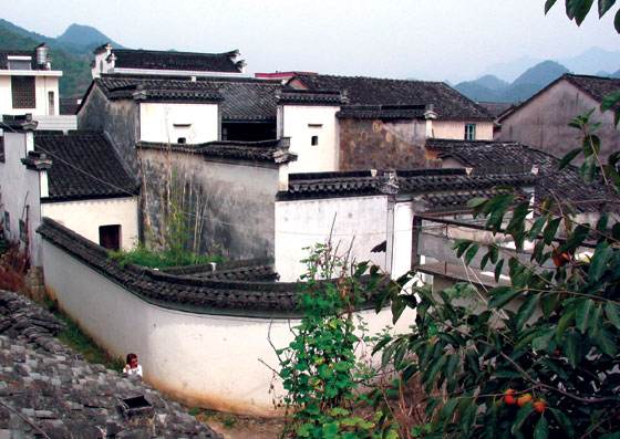 胡炳衡，胡炳衡家谱
