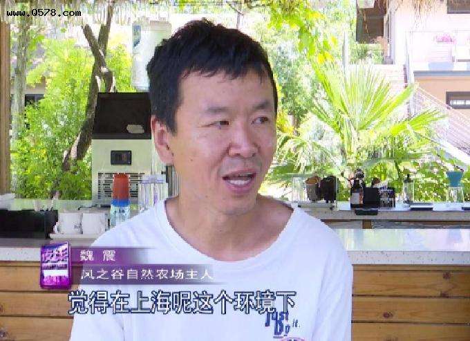 魏震，魏震上港