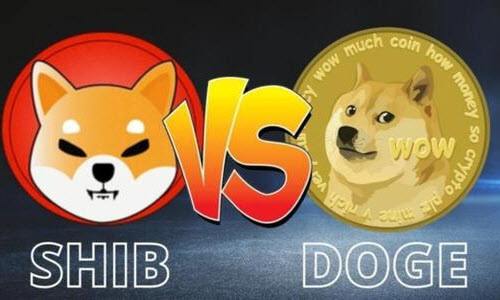 shib什么地方下载的简单介绍