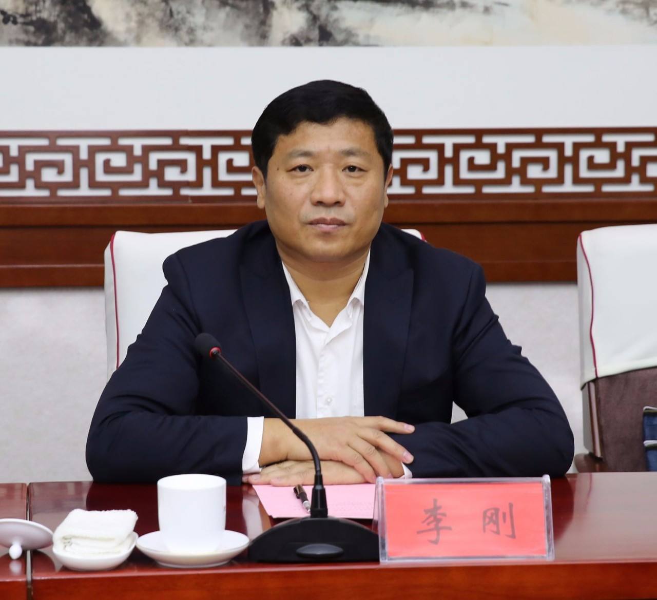 李刚简历，李刚进简历