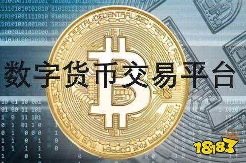 数字货币交易所排行榜，数字货币交易所排行榜雪梨