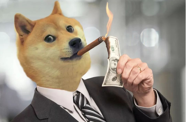 狗狗币从哪买，狗狗币在哪里买啊