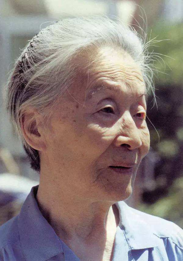 杨季康，杨绛怎么念