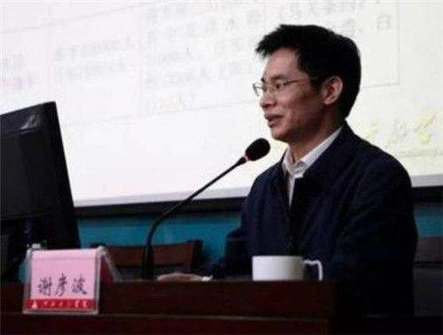 宁铂，宁铂谢彦波于政三人现在怎样了