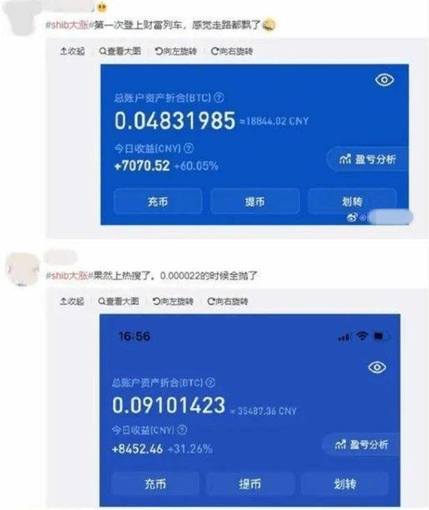 屎币历史价格表，屎币历史最高价格是多少