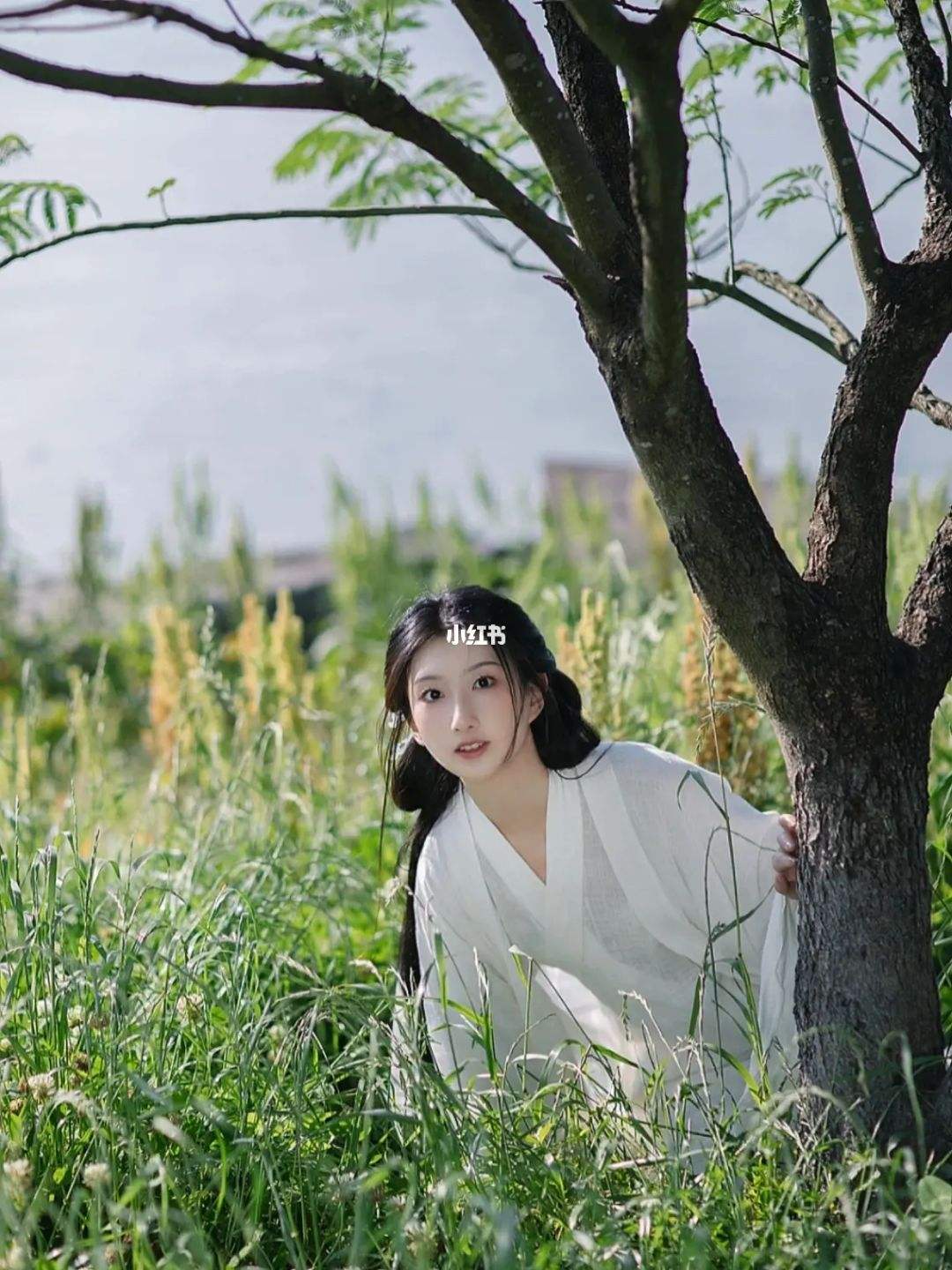 南子，南子是什么偏旁