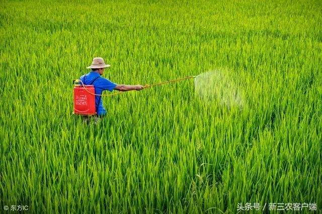 几秒致命的农药，几秒致命的农药乐果