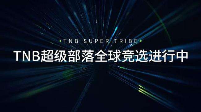 tnb币行情，TNB币是什么币