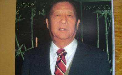 杨拯美，杨拯美白炳武