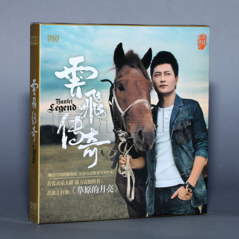 云飞传奇，云飞传奇歌曲大全100首
