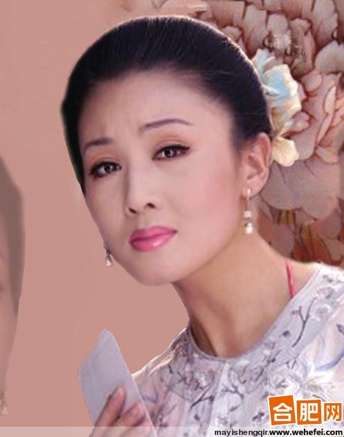 韩再芬，韩再芬为什么终身未嫁