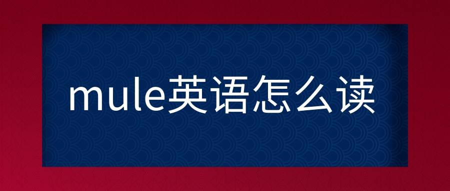 价格英语怎么读，价格英语怎么读store