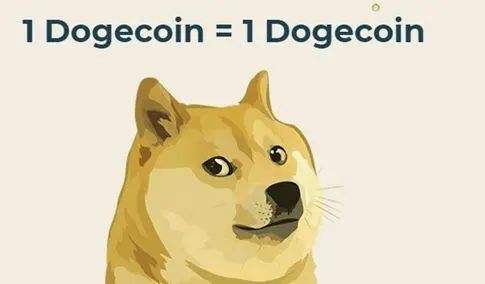 柴犬币值得长期投资吗，柴犬币和狗狗币哪个有投资价值