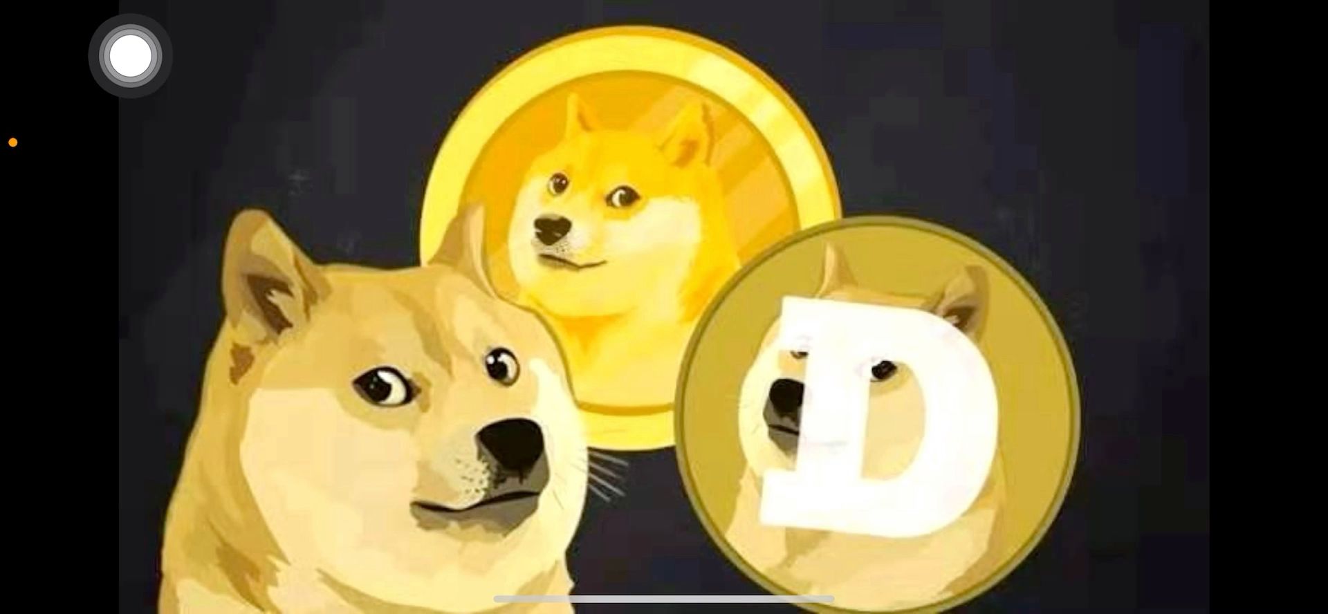狗币doge官方正版下载，dogecoin狗狗币下载
