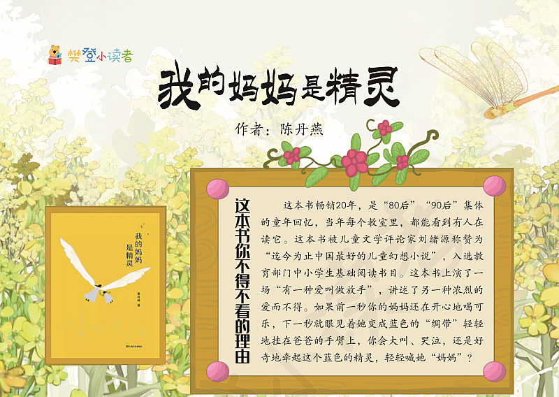 张怡凤，张怡凤楚