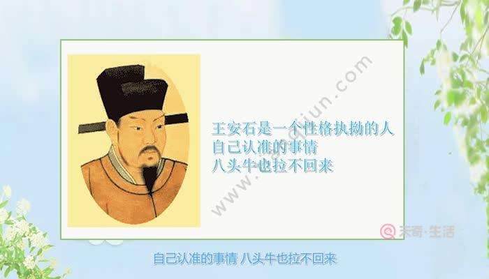 王安石的介绍，诗人王安石的介绍