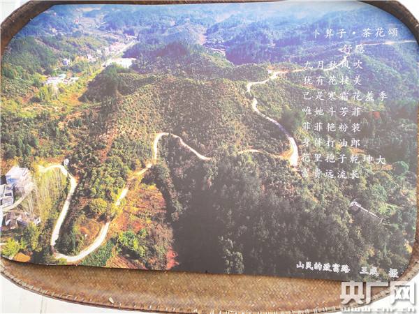 资凤，资凤姣
